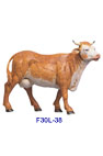 MUCCA